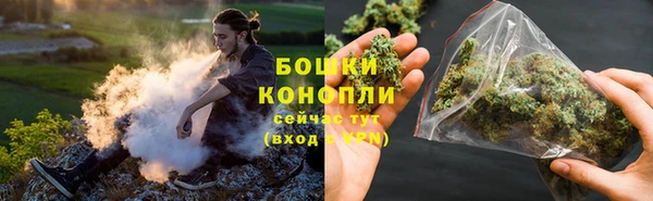 шишки Дмитров