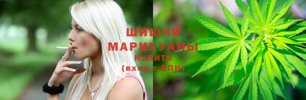 шишки Дмитров