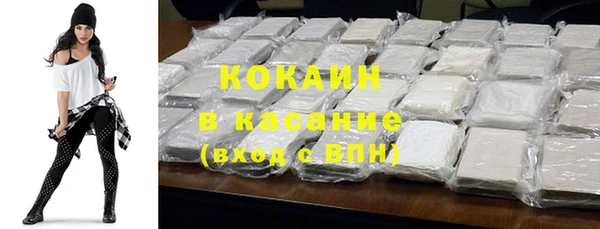 шишки Дмитров