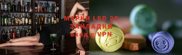 шишки Дмитров