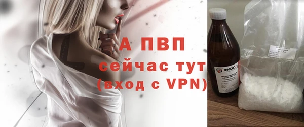 ПСИЛОЦИБИНОВЫЕ ГРИБЫ Дмитровск