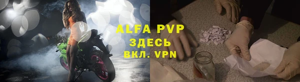 шишки Дмитров